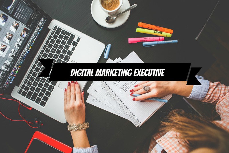 Digital Marketing Executive là nhân sự nòng cốt của phòng Marketing