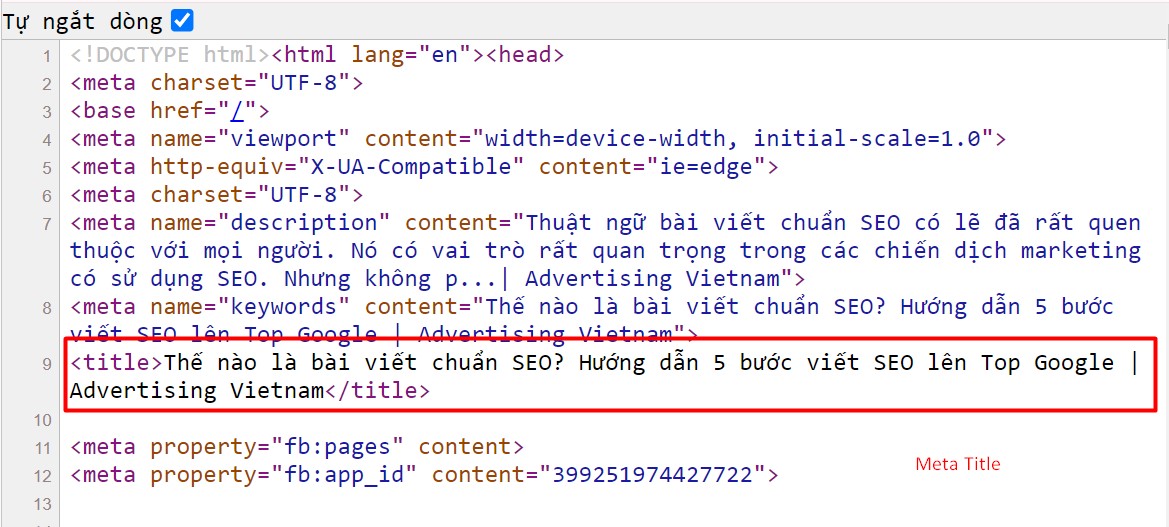 Meta title khi xem ở phần Source Code