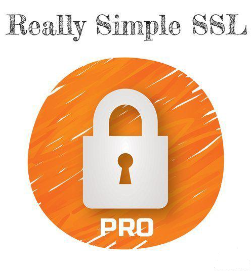 Really Simple SSL là 1 plugin SEO giúp bạn redirect http sang https