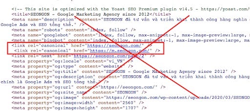 Công cụ tìm kiêm sẽ bỏ qua nếu trang web được thiết lập nhiều hơn 1 thẻ Canonical