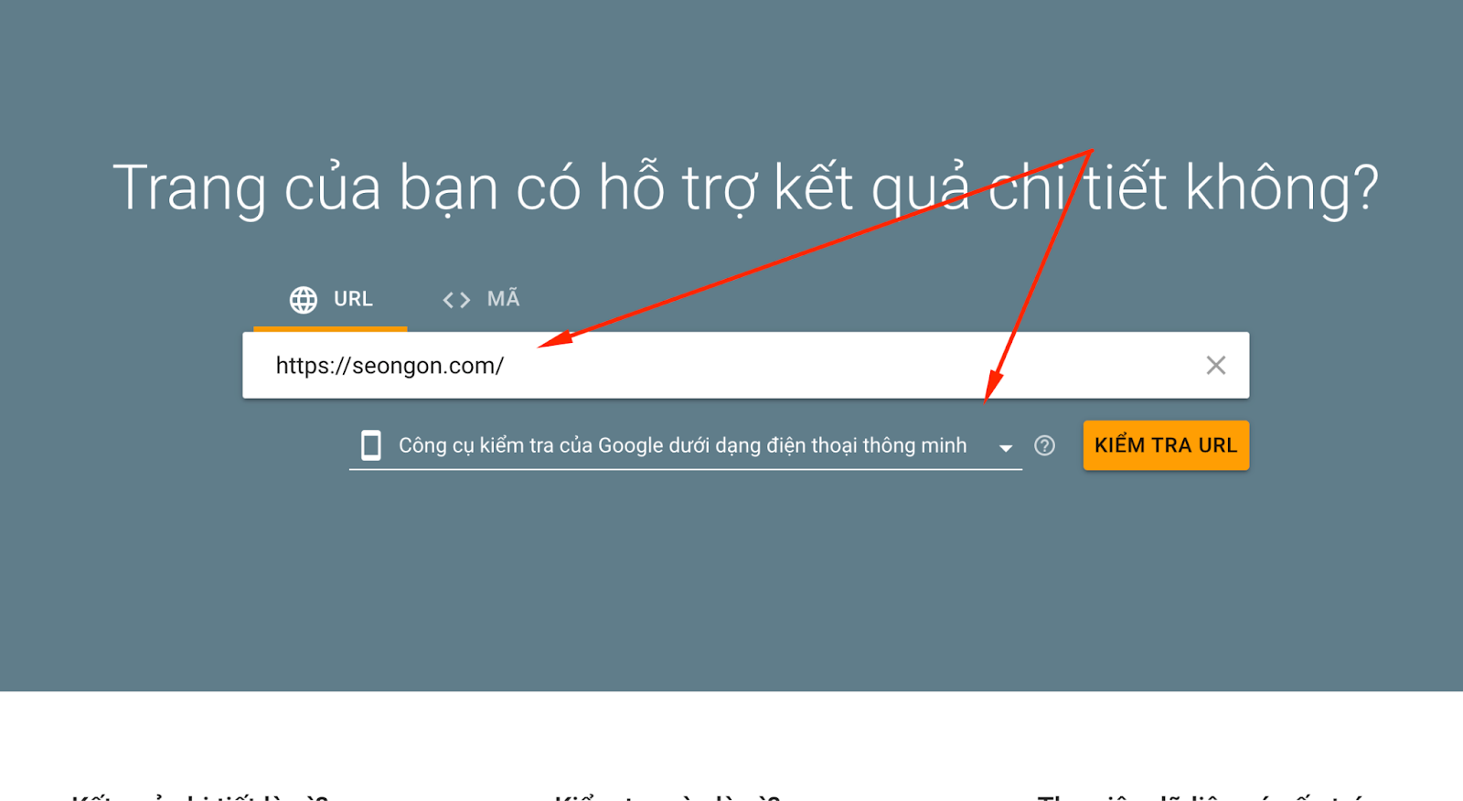 Google’s Rich Results Test giúp bạn kiểm tra xem website đã cài schema hay chưa