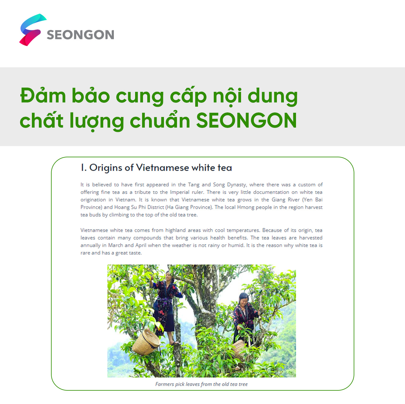 Xây dựng content “chất" chuẩn chất SEONGON