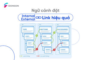 ngu-canh-dat-internal-link-va-external-link thumb
