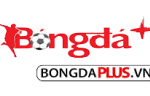 Bongda