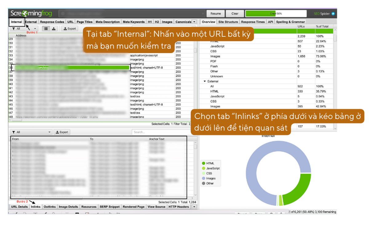 Audit Internal Link 1