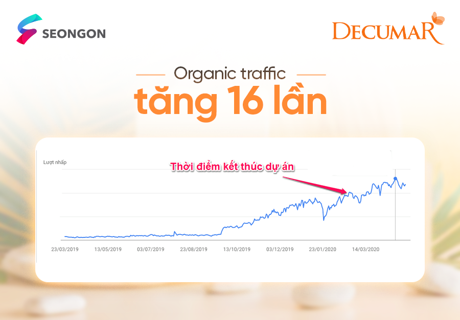 Organic traffic của website tăng 16 lần