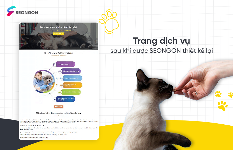 Case study SEO thú y - SEONGON