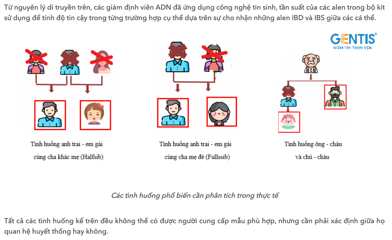 Ảnh minh họa bài viết sử dụng đa dạng các hình thức nội dung