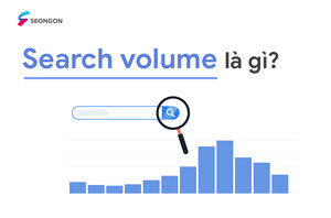 Search Volume (Khối lượng tìm kiếm)