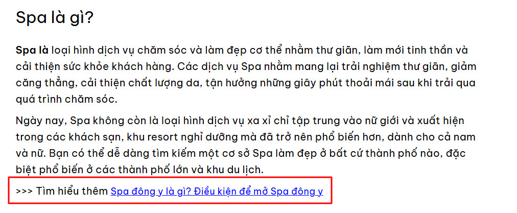 CTA đọc thêm giúp giữ chân người đọc trên website, từ đó cải thiện SEO