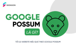 Google Possum