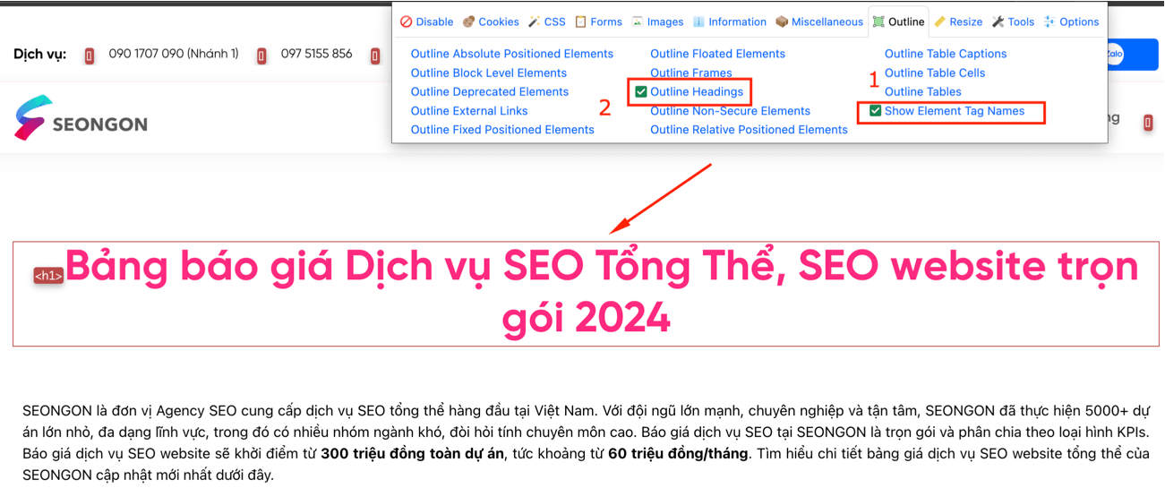 Tìm H1 bằng Outline Heading và Show Element Tag Names tại Web Developer