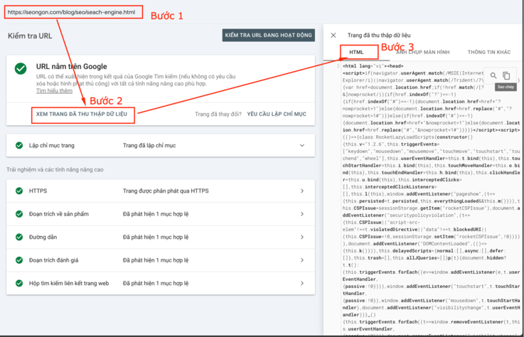 Cách kiểm tra web cache bằng Google Search Console