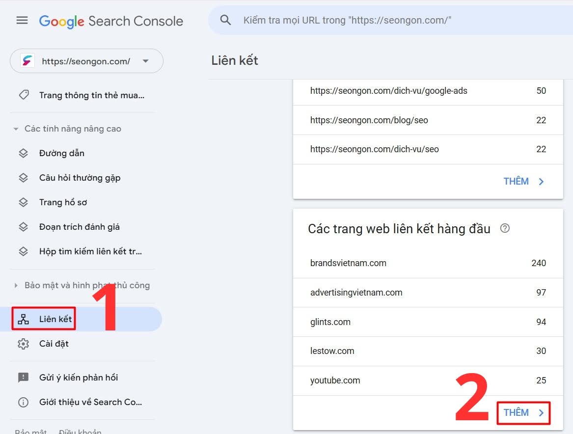 Xem danh sách các backlink đang trỏ về website