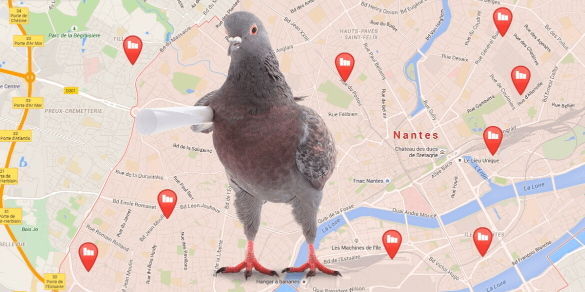 Hãy cập nhật mỗi ngày khi làm SEO để đón đầu xu hướng mỗi khi Google Pigeon có sự thay đổi