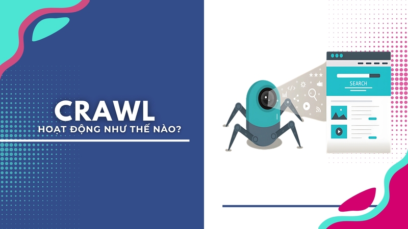 Crawl hoạt động như thế nào