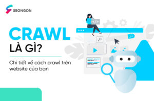 Crawl là gì