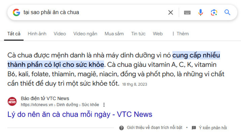 Đoạn trích nổi bật cung cấp thông tin người dùng cần ngay cả khi không truy cập vào trang