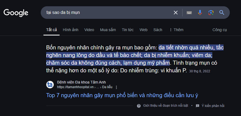 Featured Snippet dạng đoạn trích văn bản.