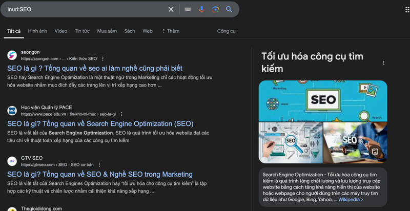 Kết quả kỹ thuật tìm kiếm Google inurl cho ví dụ “inurl:seo”