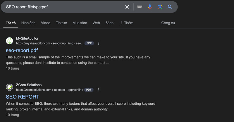 Kết quả thủ thuật tìm kiếm filetype cho ví dụ “SEO report filetype:pdf”