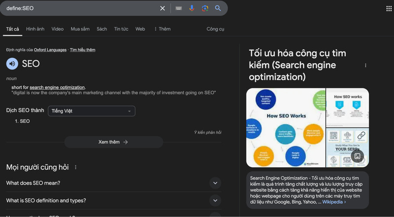 Kết quả toán tử define cho ví dụ “define:seo”