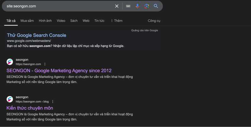Kết quả toán tử site cho ví dụ “site:seongon.com”