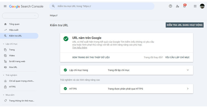 Màn hình xác nhận rằng URL cần kiểm tra đã được Google lập chỉ mục