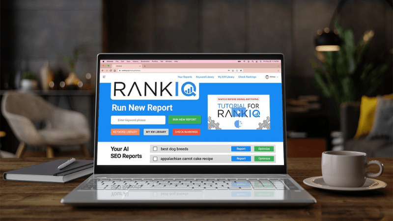 RankIQ giúp bạn theo dõi hiệu suất xếp hạng