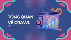 Tổng quan về Crawl