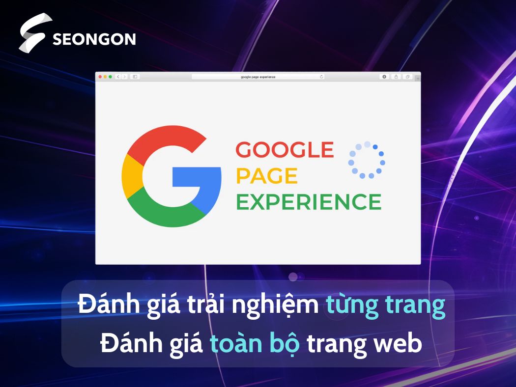 Google Page Experience đánh giá trên từng trang và toàn bộ website