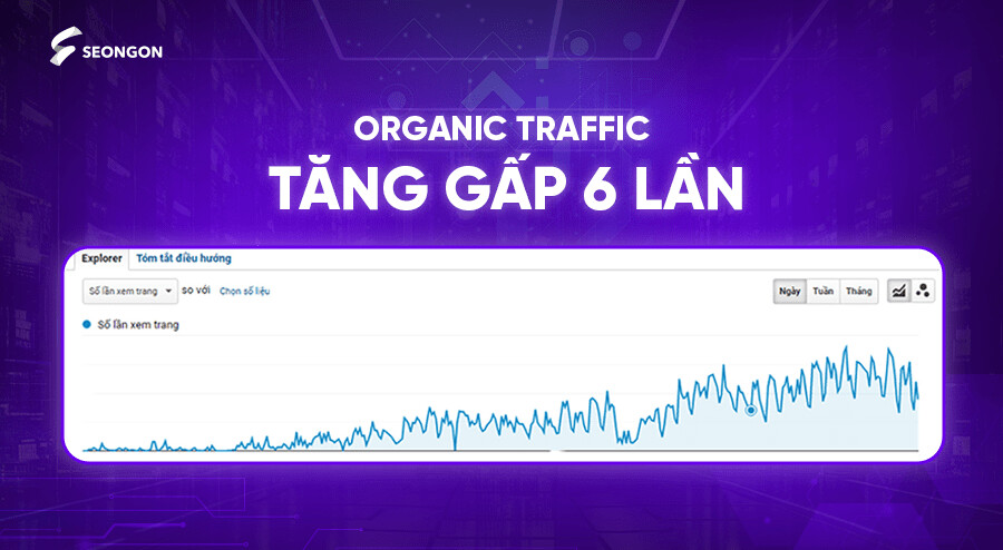 Organic Traffic tăng trưởng vượt trội 