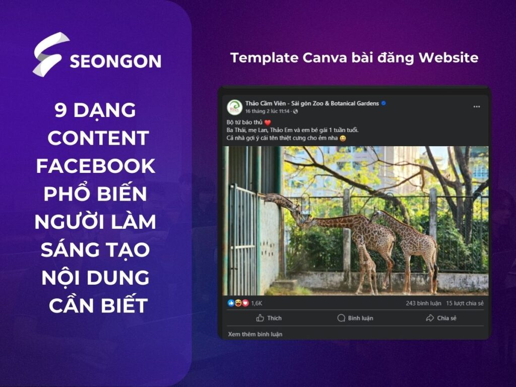 các dạng content facebook