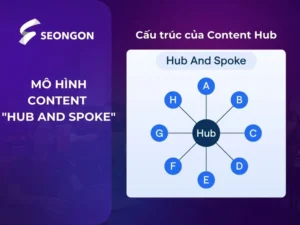 Cấu trúc của Content Hub