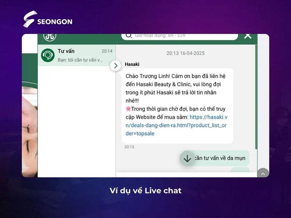 Ví dụ về Live chat trên website