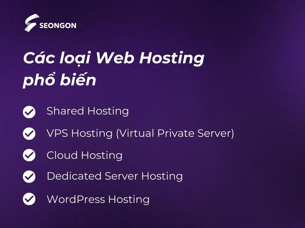 Có nhiều lọa Web Hosting để bạn lựa chọn