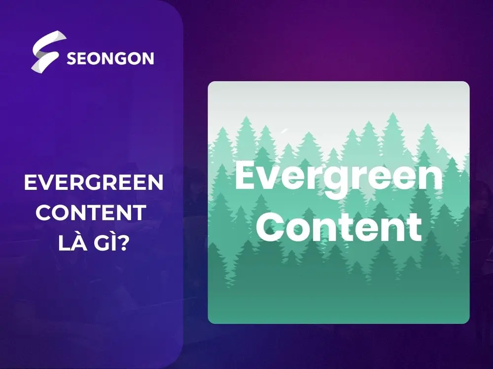 Evergreen Content (nội dung thường xanh) là những nội dung có giá trị lâu dài, không bị lỗi thời và luôn thu hút người đọc
