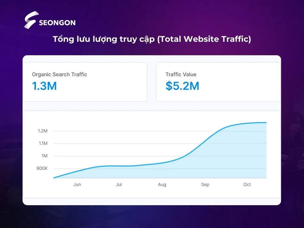 Total Website Traffic thể hiện tổng số lượt người truy cập vào website của bạn