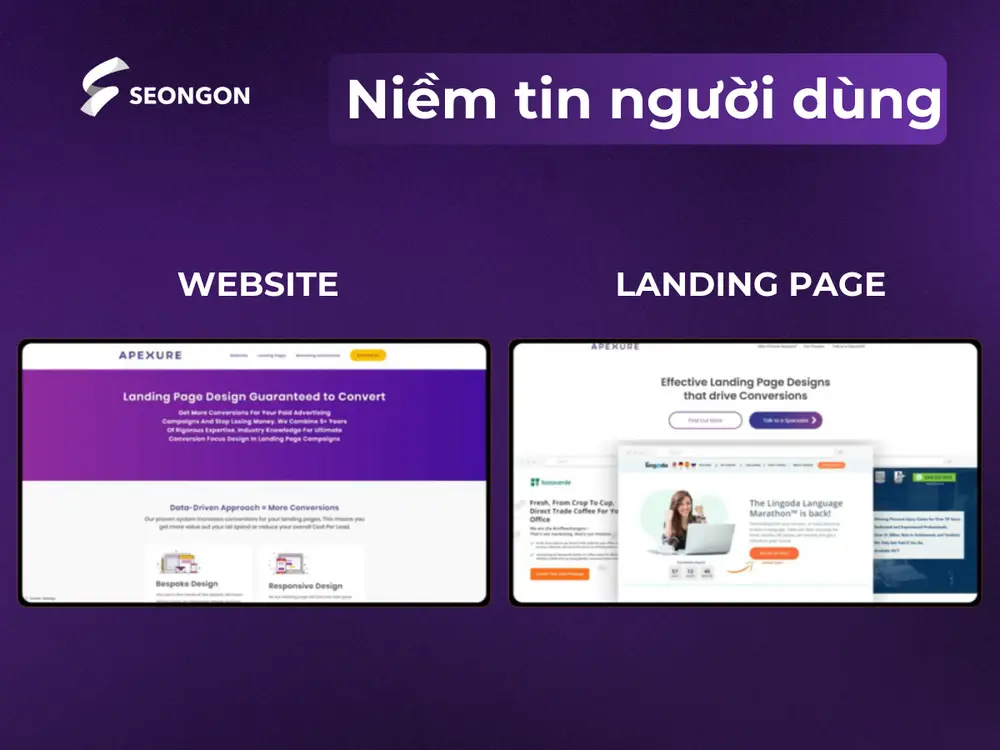 Website và landing page khác nhau ở lượng và chiều sâu thông tin mà từng nền tảng cung cấp