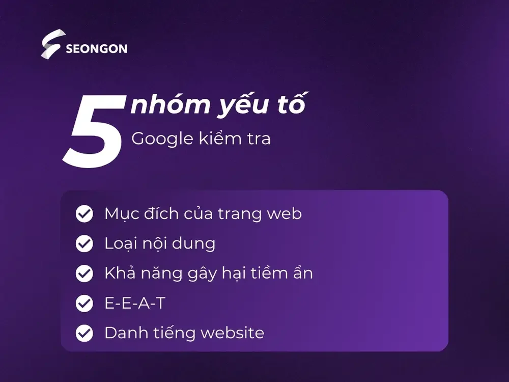 5 nhóm yếu tố Google kiểm tra trên trang web