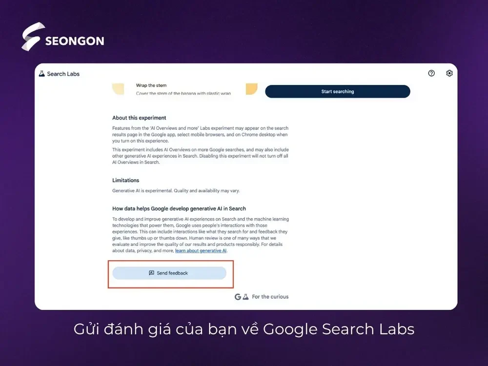 Các gửi các đánh giá của bạn đến Google Search Labs