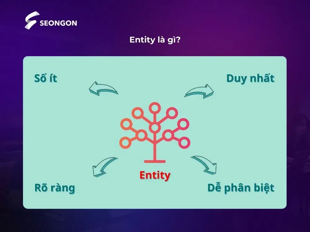 Entity là thực thể bất kỳ hội tụ đủ 4 yếu tố là: Duy nhất, đơn lẻ, rõ ràng và dễ phân biệt