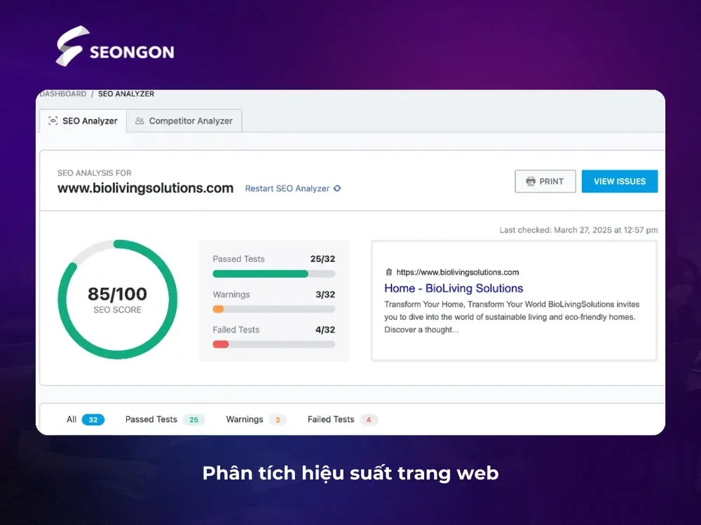 Phân tích dữ liệu về hiệu suất trang web