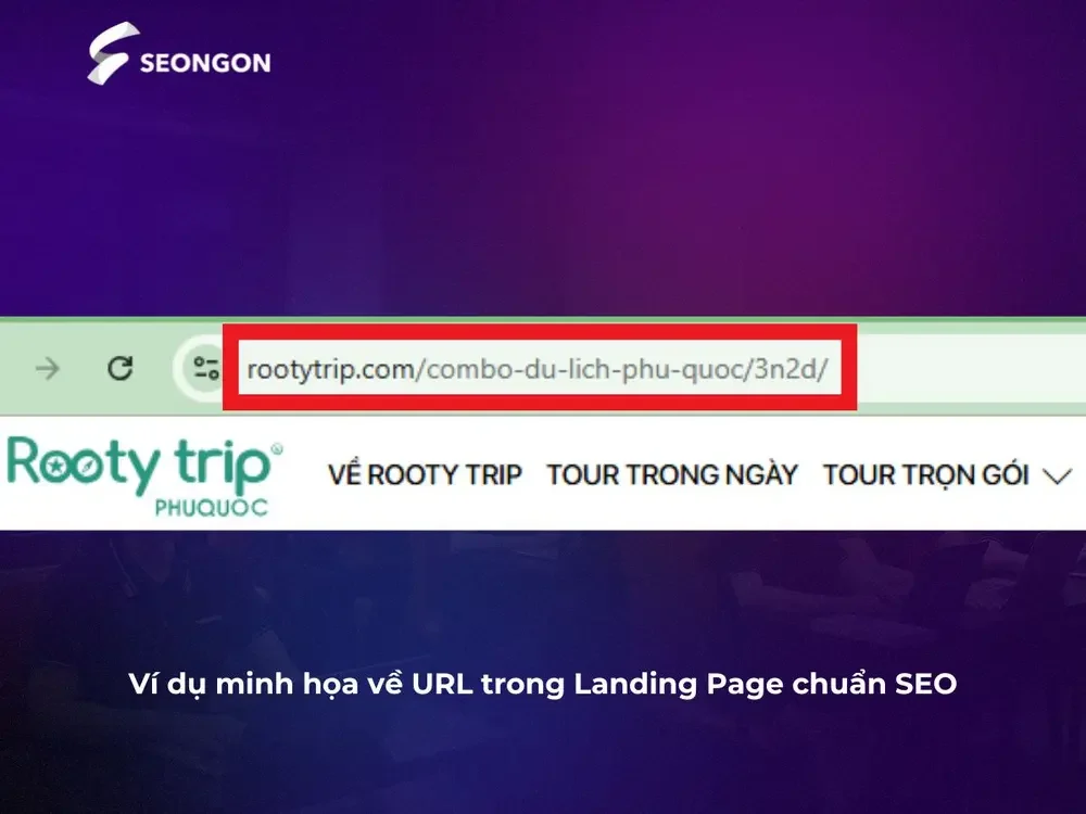 Ví dụ minh họa về URL trong Landing Page chuẩn SEO