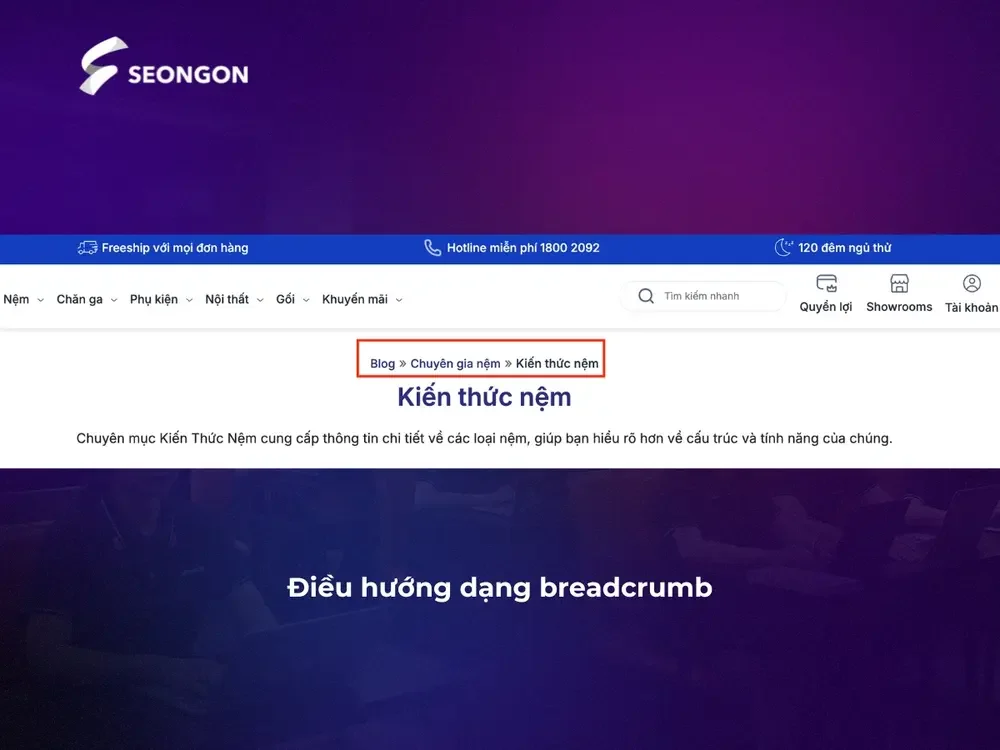 Ví dụ về một Breadcrumbs trên trang