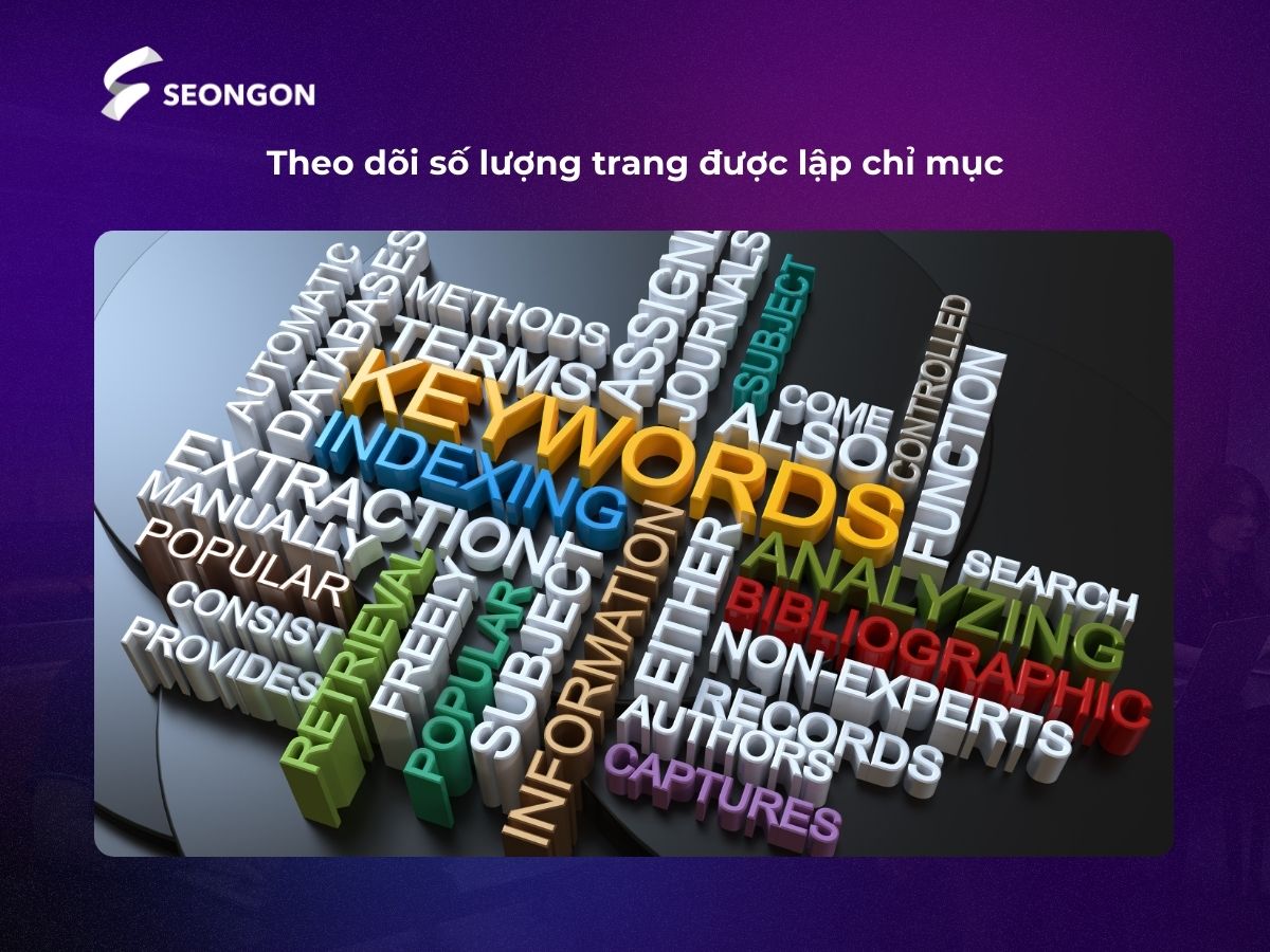 Cần theo dõi số lượng trang đã được lập chỉ mục