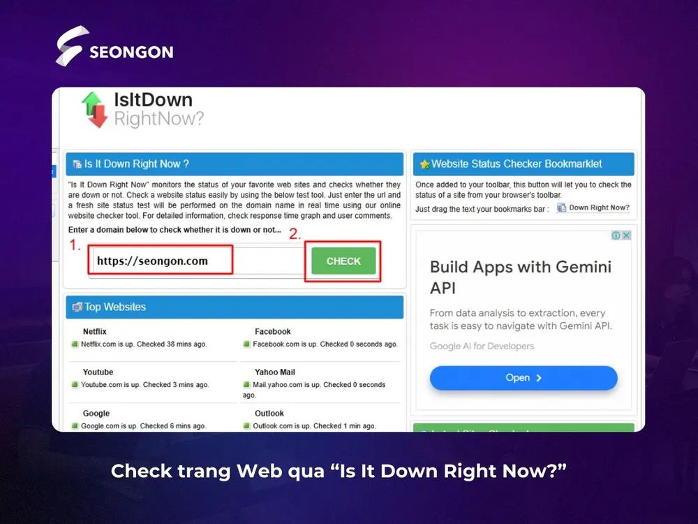 Check web có bị lỗi 503 error không qua Is It Down Right Now?