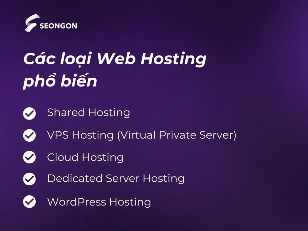 Có nhiều lọa Web Hosting để bạn lựa chọn