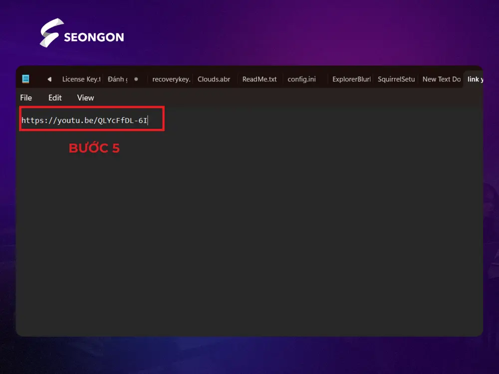 Dán đường dẫn video vào file đã lưu
