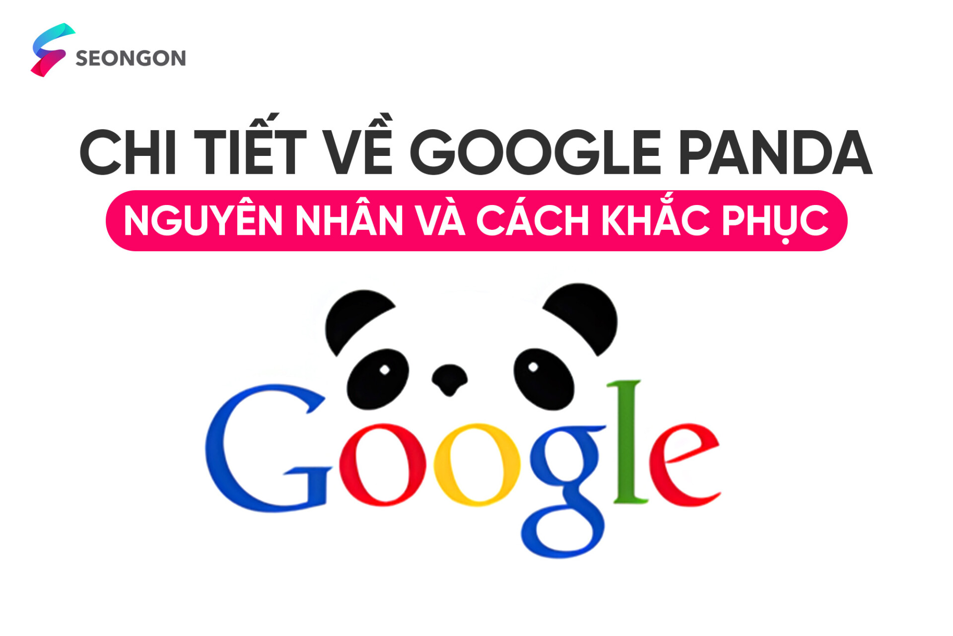 Google Panda là gì? Nguyên nhân và cách khắc phục khi website dính án phạt Google Panda